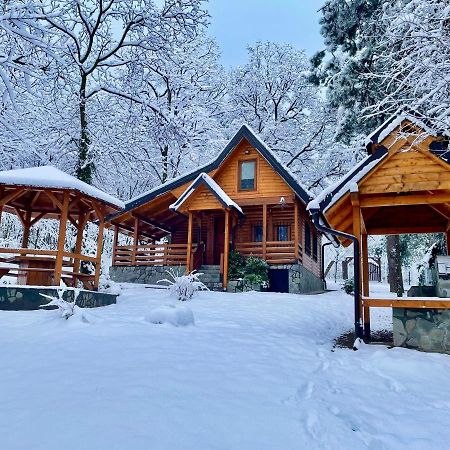 Brvnara Vrsac Villa ภายนอก รูปภาพ