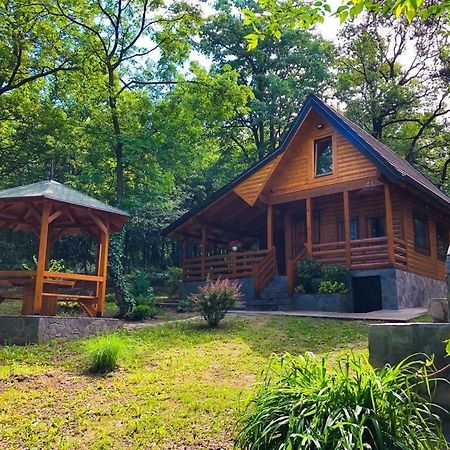 Brvnara Vrsac Villa ภายนอก รูปภาพ