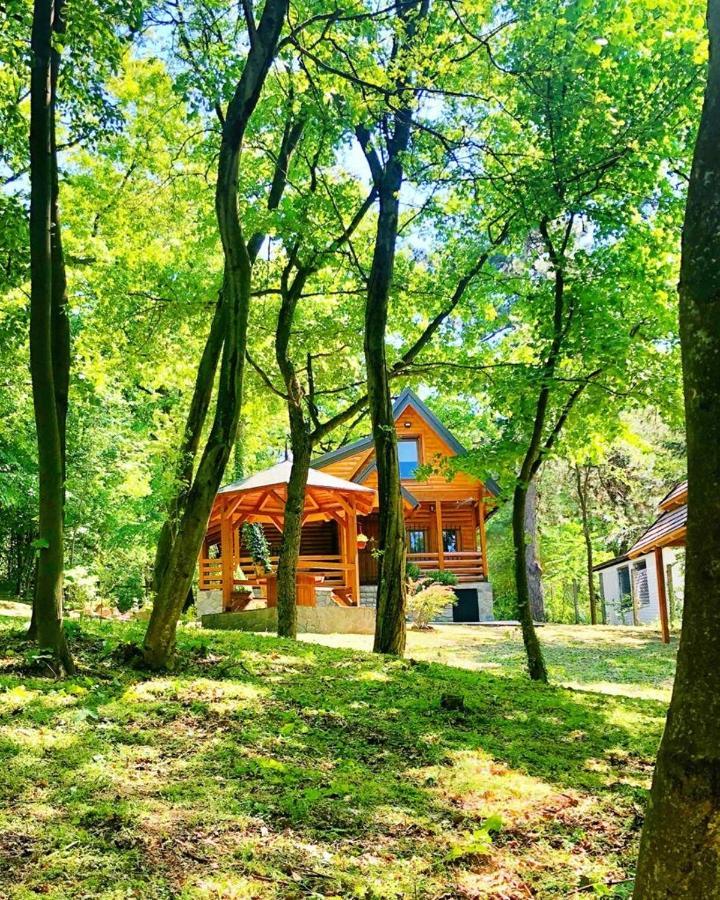 Brvnara Vrsac Villa ภายนอก รูปภาพ