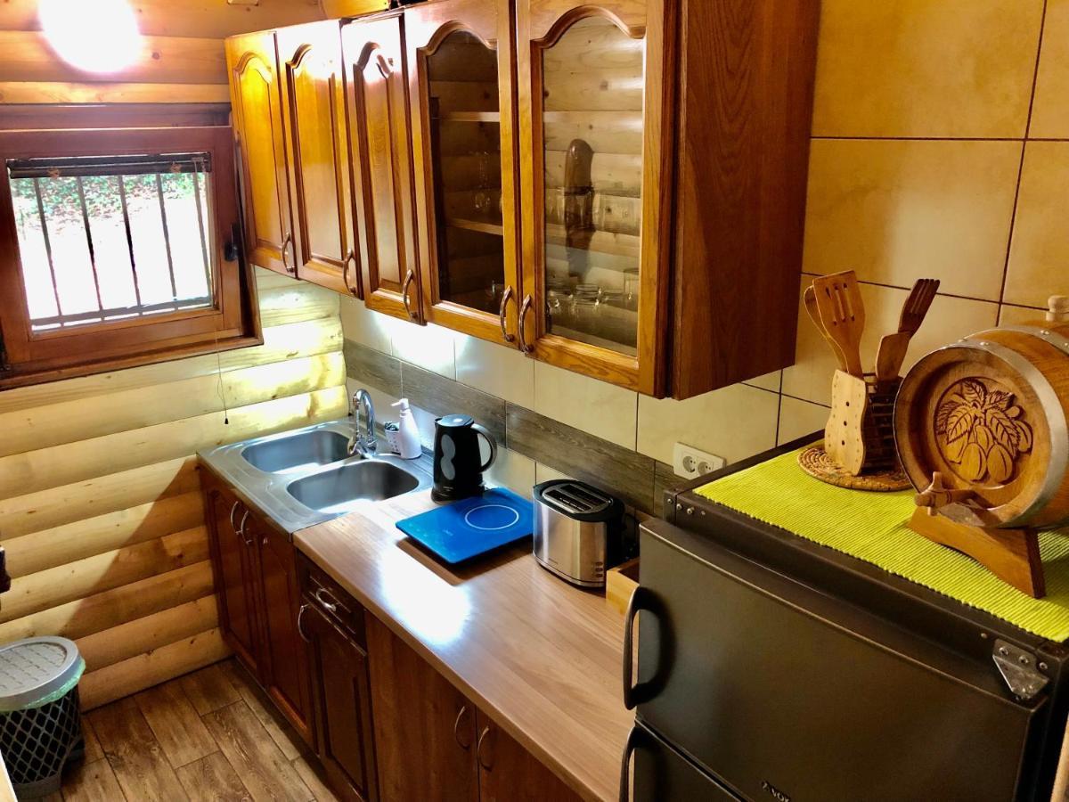 Brvnara Vrsac Villa ภายนอก รูปภาพ