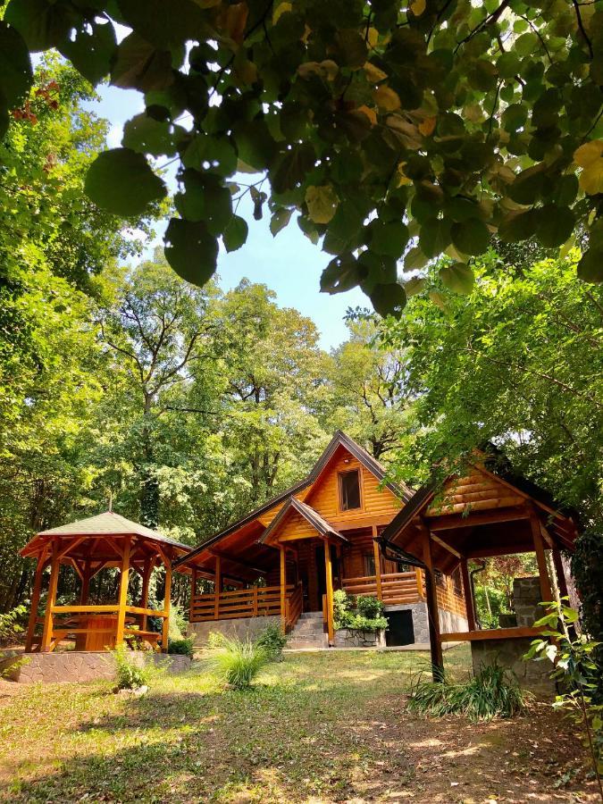 Brvnara Vrsac Villa ภายนอก รูปภาพ