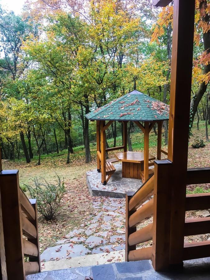 Brvnara Vrsac Villa ภายนอก รูปภาพ