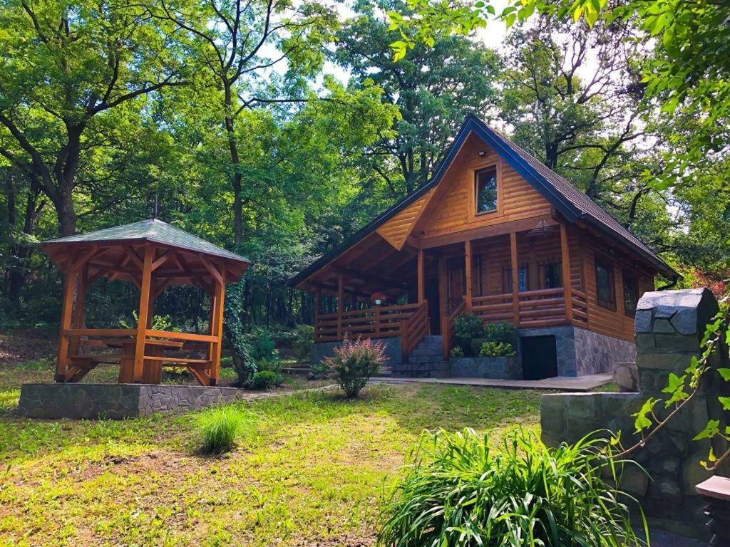 Brvnara Vrsac Villa ภายนอก รูปภาพ