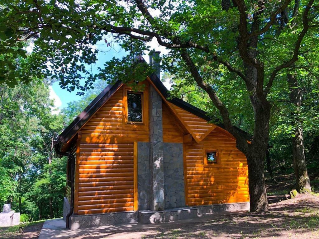 Brvnara Vrsac Villa ภายนอก รูปภาพ